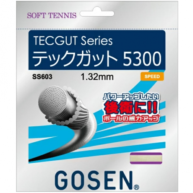 GOSEN TECGUT 5300 軟式網球線